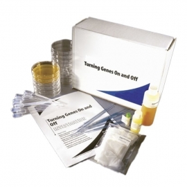 School Lab Inheritance and Genetic